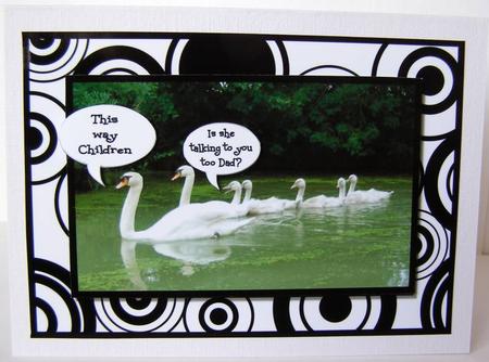 Funny Wild Thing - Mother Swan by Margaret McCartney