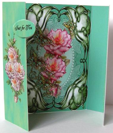 Double Frame Gate Fold Book Sympathy by Margaret McCartney