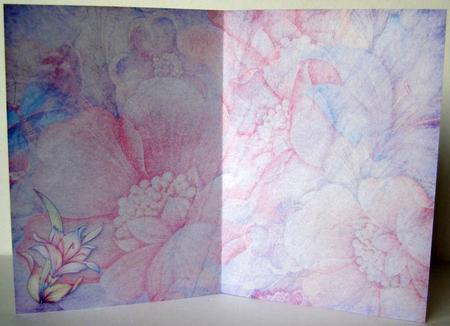 Planet Without Flowers Insert by Margaret McCartney