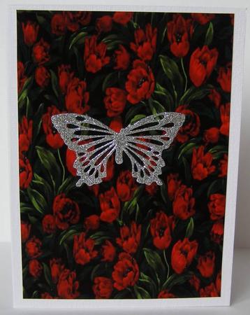 Poppies Paper by Margaret McCartney