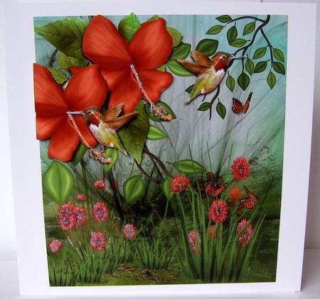 The Humming Birds by Margaret McCartney