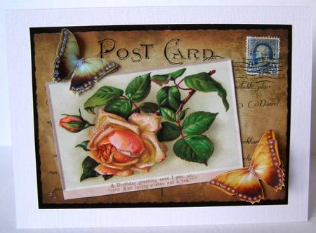 Postcard Male by Margaret McCartney