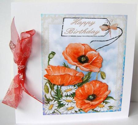Poppies and Daisies by Margaret McCartney