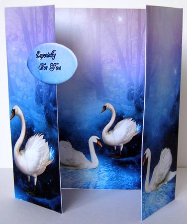 Together Forever by Margaret McCartney