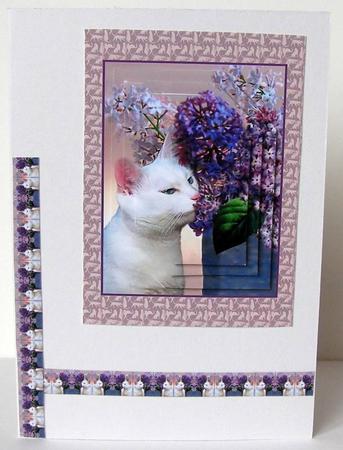 Miss Kitty Enjoys the Smell of Lilacs by Margaret McCartney