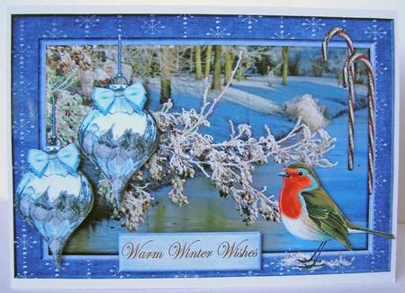 Winter Robin Scene by Margaret McCartney