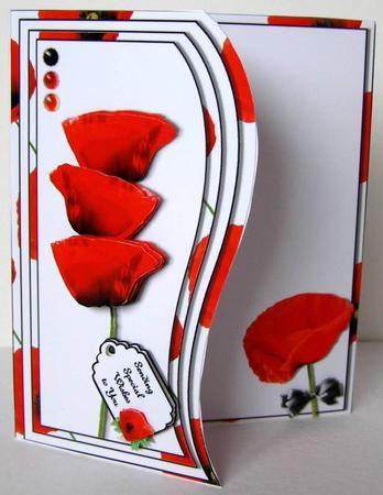Perfect Poppies Shaped Card Topper & Insert for A5 or 8x8 by Margaret McCartney