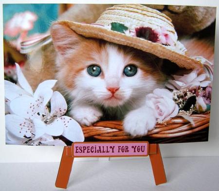 Easel Kitten by Margaret McCartney