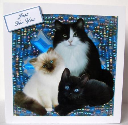 Fluffy's Family by Margaret McCartney