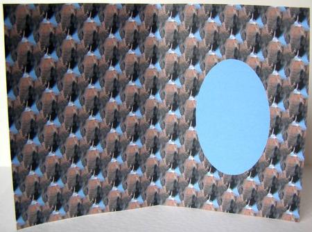 African Elephant Insert by Margaret McCartney