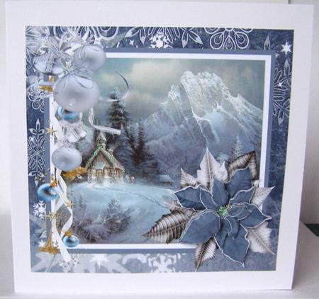 Blue Poinsettia by Margaret McCartney