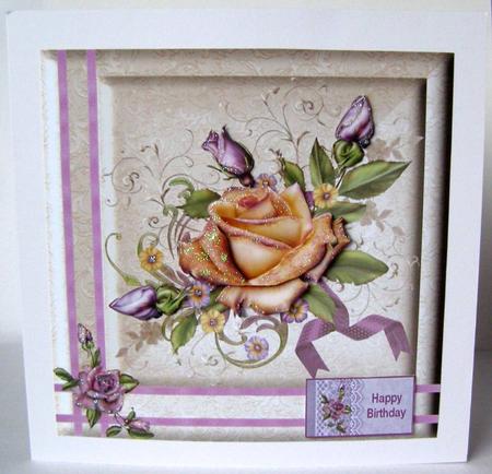 Cream Rose by Margaret McCartney