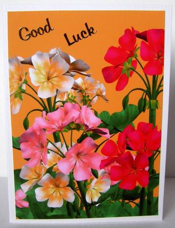 Bright Blooms A4 Backing Paper #1 by Margaret McCartney