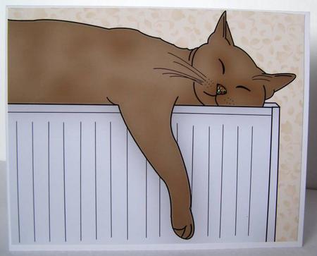 Sleeping Kitty by Margaret McCartney