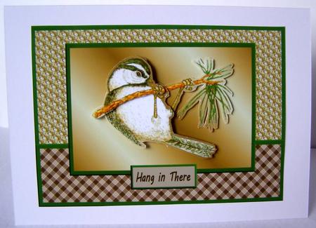 Hang in There Little Bird Sbs by Margaret McCartney