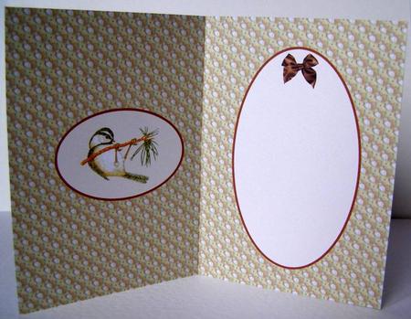 Bird and Bow Is by Margaret McCartney