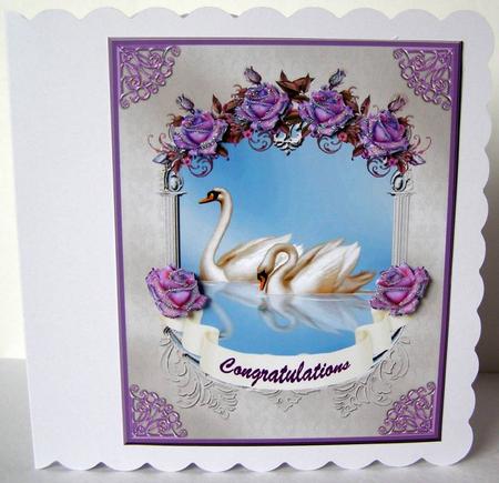 Swans and Purple Roses by Margaret McCartney
