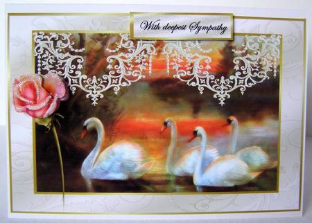 Swan Lake Sympathy by Margaret McCartney