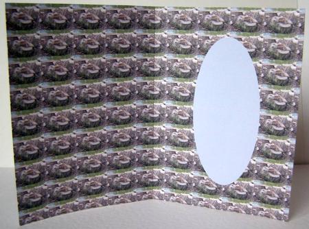 Otter Insert by Margaret McCartney