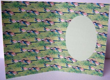 Canada Geese Insert by Margaret McCartney