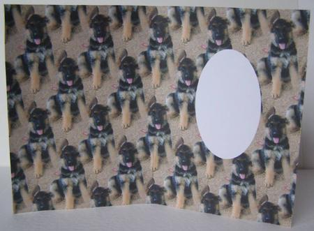 Alsation Pup Insert by Margaret McCartney