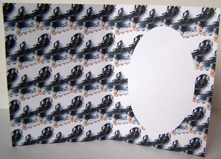 Rollerblades Insert by Margaret McCartney