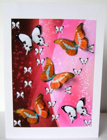Butterfly Background 2 by Margaret McCartney