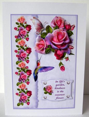 Natures Way Thank You or Get Well by Margaret McCartney