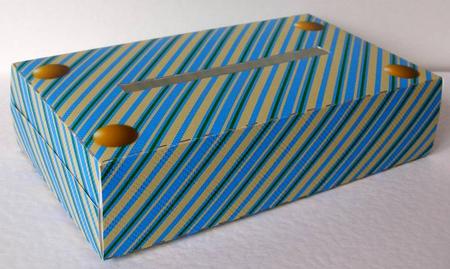 Striped Pocket Tissue Box by Margaret McCartney