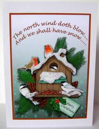 North Wind by Margaret McCartney