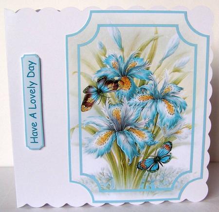 Iris & Butterflies Plaques by Margaret McCartney