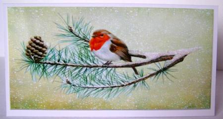 Christmas Robin Dl Topper by Margaret McCartney