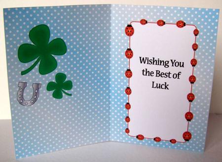 Good Luck Ladybird Insert 2 by Margaret McCartney