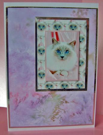 Watercolour Burst Vellum in Pinks by Margaret McCartney