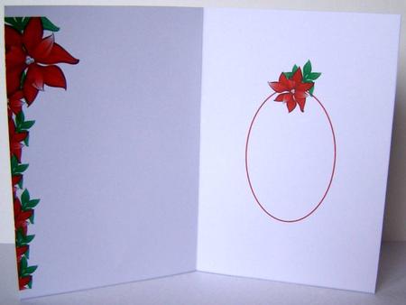 Xmas Poinsettia by Margaret McCartney