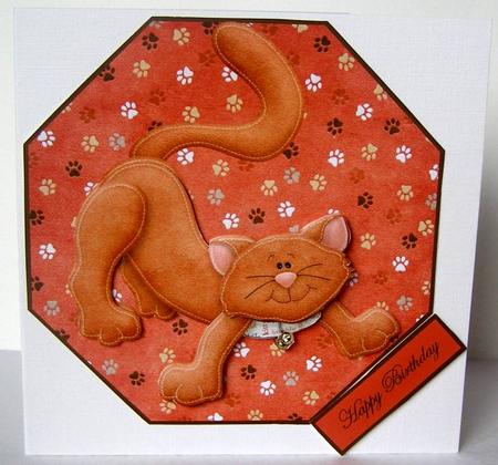 Felix Cat by Margaret McCartney
