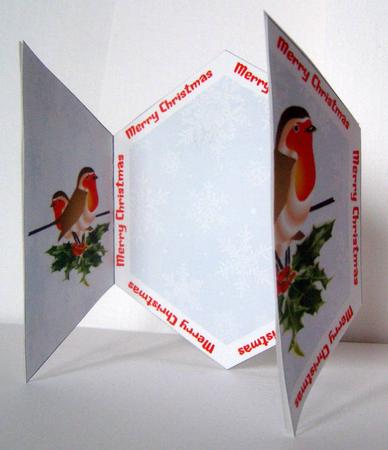 Hexagonal Robin Gate Fold by Margaret McCartney