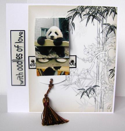 Panda Cubs Waterfall Card by Margaret McCartney