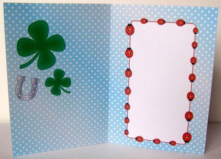 Good Luck Ladybird Insert 1 by Margaret McCartney