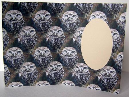 Birthday Owl by Margaret McCartney