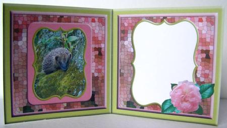 Hedgehog and Pink Roses Square Insert by Margaret McCartney
