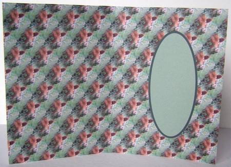 Birthday Moo Insert by Margaret McCartney