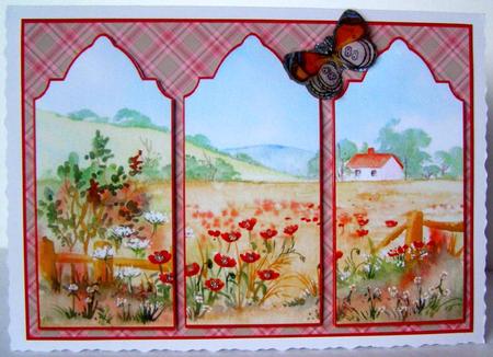 Poppy Field Triptych by Margaret McCartney