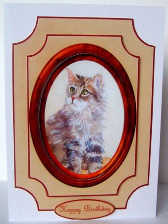 Framed Cute Kitten by Margaret McCartney