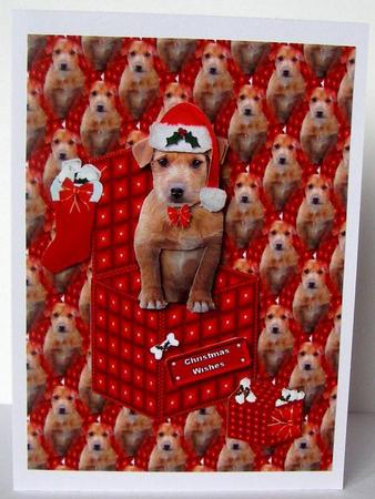 Terrier in a Christmas Box Background Sheet by Margaret McCartney