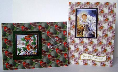 Robins Duodecopage Backing by Margaret McCartney