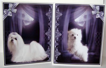 Moonlit Puppies by Margaret McCartney