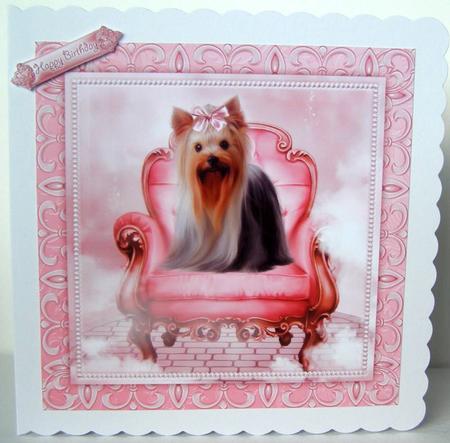 Little Princess Yorkie by Margaret McCartney