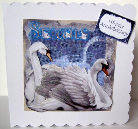 Swans by Margaret McCartney