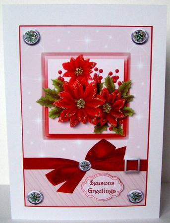 Poinsettia Greetings by Margaret McCartney